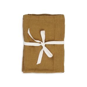 Fern Living Sugar Kelp 100% Linen Placemat - Set of 2 NWT